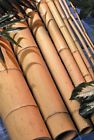 1030 20pcs Unbranded 1.5 X 8 Bamboo Poles Tikibar Japanese Zen Garden