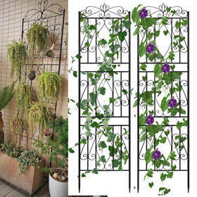 Uf0jazulzx 2pack Tall Rustproof Garden Trellis Sturdy Iron For Climbing Vines Roses