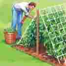 306265 Unbranded 5 X 15 Heavy Duty Nylon Garden Trellis Netting