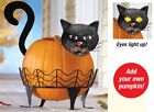 31811 Unbranded Piece Plant Holder Black Cat Pumpkin Display 695633431811