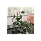 3190 Scantrends Ferm Living Metal 5704723231905