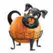 35138 Collections Etc Dog Pumpkin Holder With Light-up Eyes By 842022183138