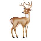 38651 Collections Etc Grazing Deer
