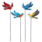 41826 Collections Etc Bobbling Birds