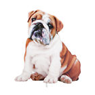 41828 Collections Dog Breed Decorative