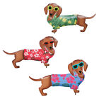 42837 Collections Tropical Yard Art Dachshund Dog Garden Stakes Cute Outdoor