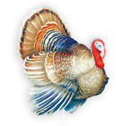 43723 Collections Turkey Metal Stake By Etc 191121144039