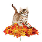 43766 Collections Playing In The Leaves By Etc