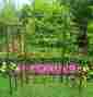 5146-hb Oakland Living Patio Trellis