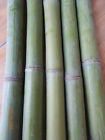 Cut-2 5ct Bamboo Non Branded X Poles-freshly 4 Long Buy It Now