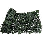 613852595411 Fashion Decorative Fences Garden