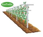 638302223799 Unbranded 4x Raspberry Trellis