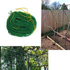 700287581239 Branded Trellis Netting Plant