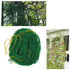 700287581246 Branded Trellis Netting Plant