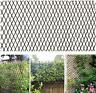 718689920341 Glant Lattice Fence Willow Expandable Plant Climbing Lattices