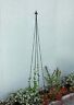 719908345839 Achla Designs Staked Trellis Black
