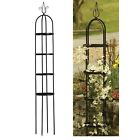 88570 Garden Metal Obelisk Trellis 732058388570