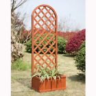 9528541168 Convenience Concepts Climbing Plant 0 95285 41168 9