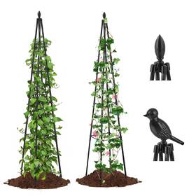 Alisisfores 795847539263 2 Pack Garden Trellis For Climbing Plants Outdoor 63inch Tall Rustproof Metal