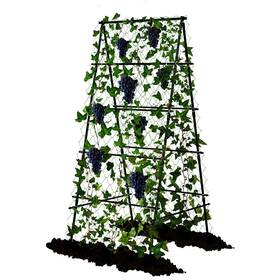 Alisisfores 795847539270 Garden Trellis For Climbing Plants A-shape Plant Support Frame Ra