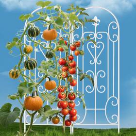 Et343 Amagabeli Garden & Home 2 Pack 60 Inch X 18 Trellis For Climbing Plants Outdoor Roses Trel