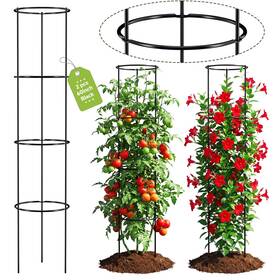 Ardefentium Fqj-zyfqj-2pcs-1.0 60 Inch Round Tomato Cages For Garden - 2 Pack Heavy Duty Metal Trelli