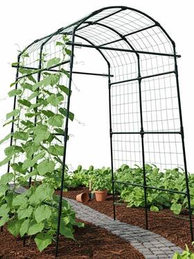Gat-601 Baxam Garden Trellis Arch 7ft Ppcoated Stainless Steel Metal Extra Tall Cucum