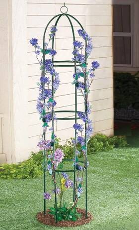 Ce-as As-ce-378294 Dome-shaped Yard Stake Trellis 75 Inch H For Vines Plants Flowers Coated Iron #294
