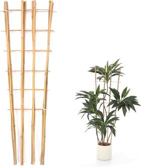 Chenteng Enterprise Yzha01 Bamboo Trellis 4ft 3pack Climbing Plantstrellis Fan-shaped For Outdoor