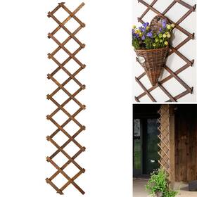 Cjgq Sswl-1 Wooden Lattice Wall-expandable Plant Garden Trellis For Climbing Plants Outdoor