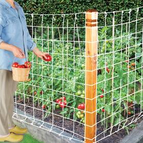 Gm36466 Collections Etc Heavy-duty Garden Plant Trellis Mesh Netting Gm36466 Collections Etc Heavy-duty Garden Plant Trellis Mesh Netting