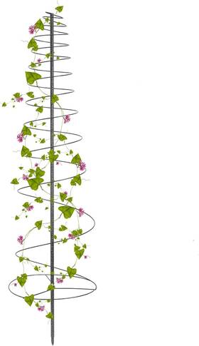 Daneried 313108777768 Trellis For Climbing Plants Outdoor 73inch Tall Support Metal