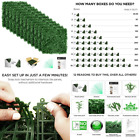 Ddrpl22 Artificial Boxwood Panels Topiary Hedge Plant Uv Protected 8908008153174 Ddrpl22 Artificial Boxwood Panels Topiary Hedge Plant Uv Protected 8908008153174