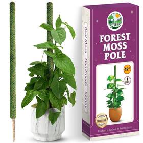 Duspro 686514694814 42 Mesh Moss Pole For Plants Tall Trellis Climbing Mon