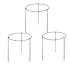 Dy193 Amgate Plant Cages Supports
