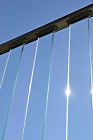 Ebay-gls-strt-clr Wahoo Decks Glass Deck 753677494695