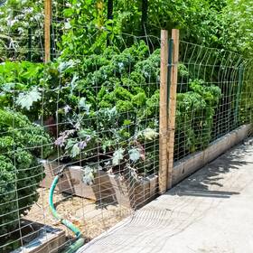 Fencer Wire 702556064276 Rabbit Guard Fence 16 Gauge Galvanized Welded For Preven