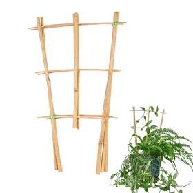 Fbt-002 Fleebambu Natural Bamboo Trellis 15 Inches For Climbing Plants Potted Plant