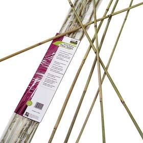 Bb6n Gardeners Blue Ribbon Plant Stake 6 Ft L Bamboo Natural