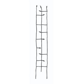 Homepacific 601818757416 6-ft High Narrow Garden Trellis In Metal Sprouting Twig Leaf