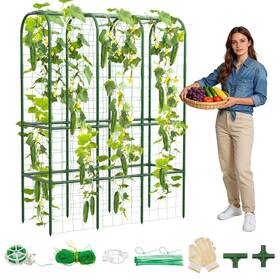 Hoyejyou 49.6 16.5 65.4inch 62 Inch Tall Cucumber Trellis For Raised Bed Garden Climbing Plants
