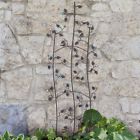 Htpsm094 Home Improvements Bronze Finish Metal Jewel Birds Vines 749417636425