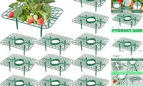 Iceyyyy 794414357750 12 Packs Square Strawberry Supports-strawberry Growing Racks- Plant Iceyyyy 794414357750 12 Packs Square Strawberry Supports-strawberry Growing Racks- Plant