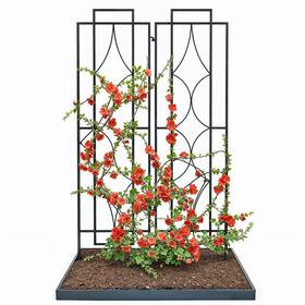 Idzo 810127110298 2-piece Diamonds Design Decoration Trellis Metal Decorative For