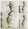 Iron-gothic-garden-trellis-2177 Iron Gothic Garden Trellis Outdoor Patio Climbing Plant 700535362177