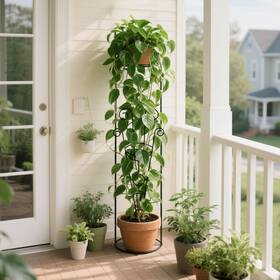 Plg003gt23 Kuandmo 4-pack 30inch Plant Trellis For Climbing Plants Indoor - Outdoor Small Metal