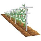 Kzd82li67v Raspberry Trellis Trellises With Adjustable Arms Stake Vineyard 638302224628