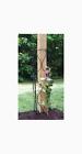 L560 Bosmere 36in Wire Trellis Mailboxes Trellises 721082125602