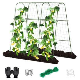 Lalahoni Rj-11-u160x160-green Cucumber Trellis 65 Inch X Metal Garden Arch Climbing Plant Outdoor