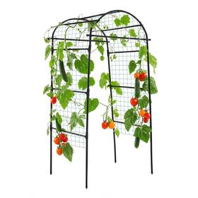 Lalahoni Zwptj-70x80x210 Garden Arch Trellis For Climbing Plants Outdoor 80 Inch Tall Grape T